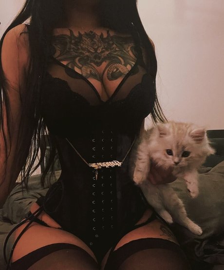 Deer white 可愛いモデル 画像