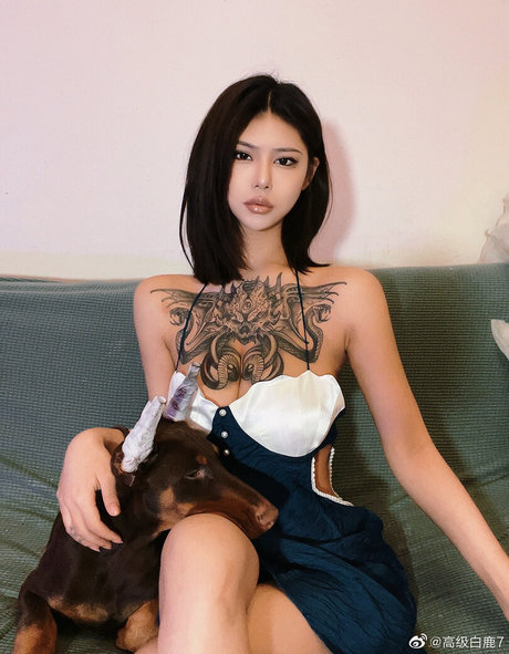 Deer white 素敵なスター ギャラリー