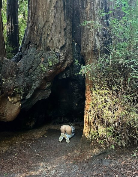 The Bite Sized Bitch スター ギャラリー