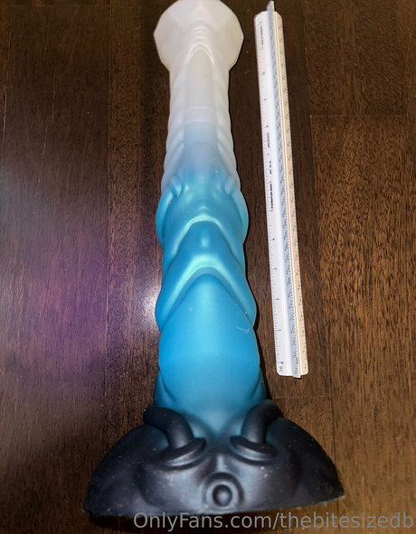 The Bite Sized Bitch profile image