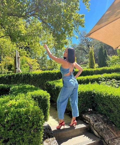 The Bella Twins_ 無料モデル 画像