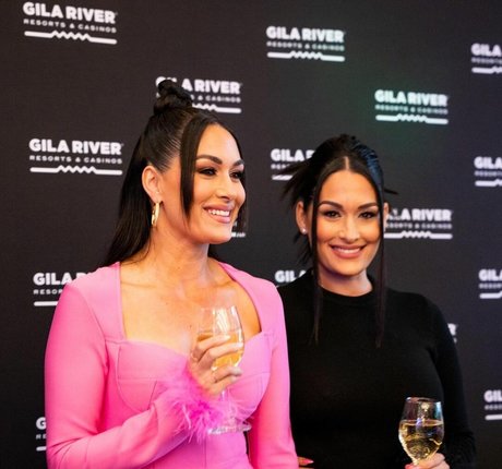 The Bella Twins_ 無料モデル ギャラリー