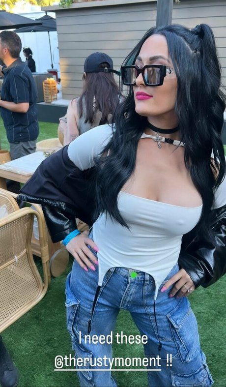 The Bella Twins_ ポルノスター 裸 写真