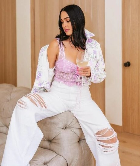 The Bella Twins_ HDモデル 画像