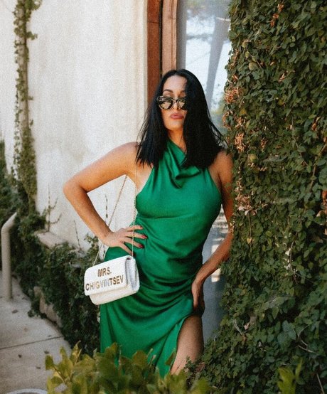 The Bella Twins_ トップスター 写真