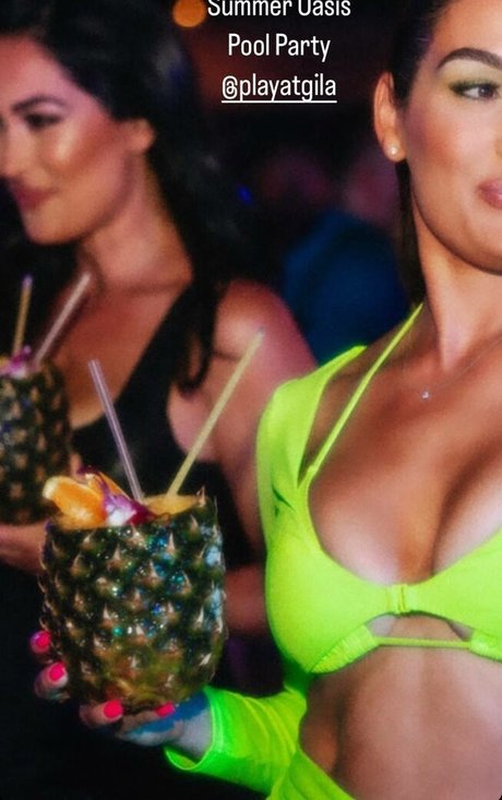 The Bella Twins_ ポルノスター アダルト 写真