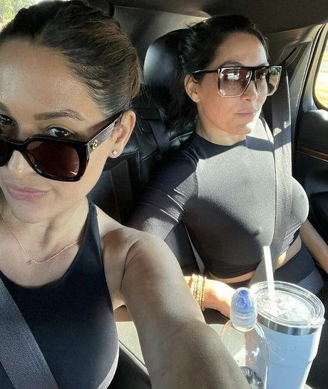 The Bella Twins_ アダルトスター 写真