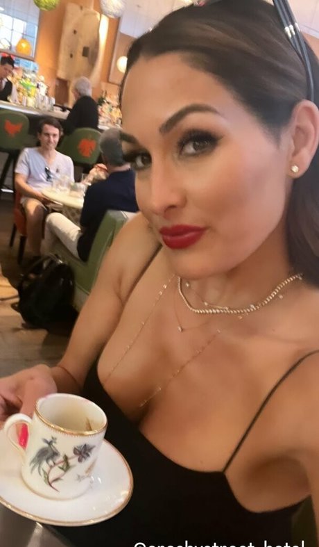 The Bella Twins_ トップスター ギャラリー