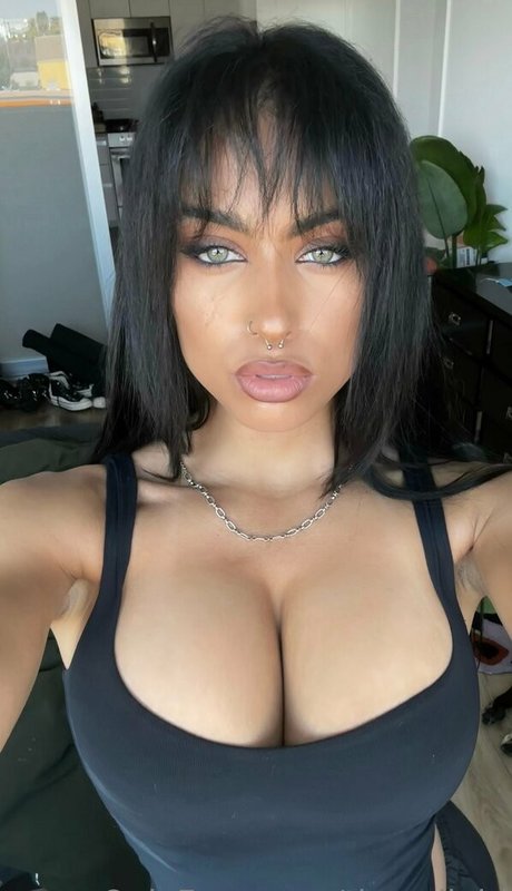 thecaligirl 美しいスター 写真