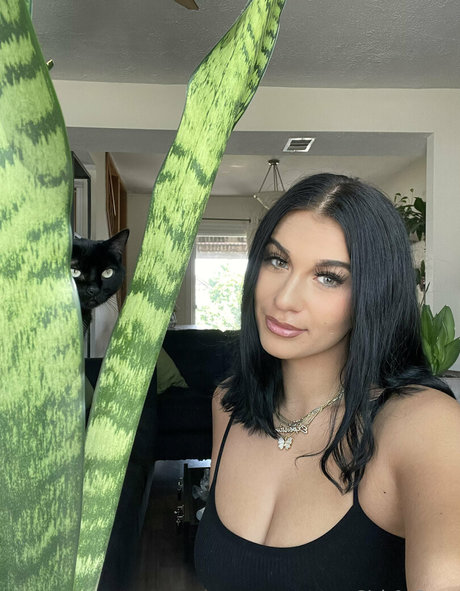 meandmommy ポルノ女優 写真