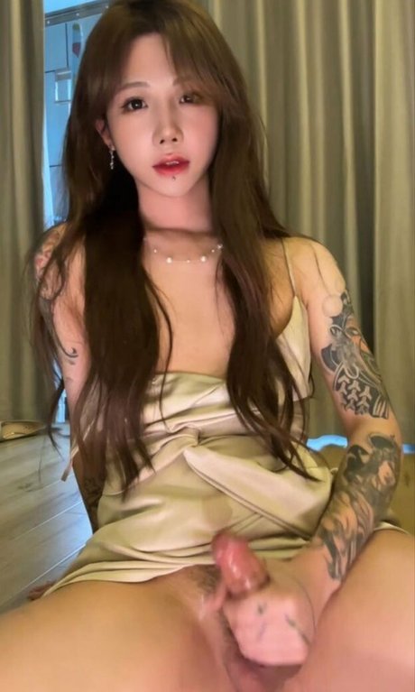 shiliuyelei 完璧なポルノスター 画像