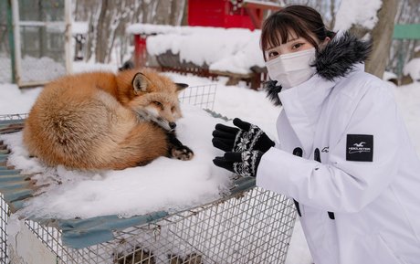 バレーボール OnlyFans 素敵 写真