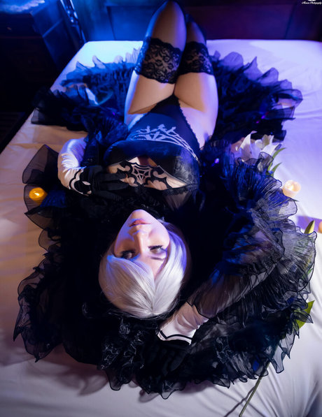 Shappi workshop 裸のスター ギャラリー