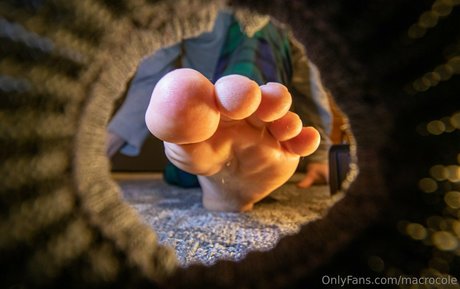 macrocole セクシーなスター 画像