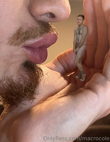 ブロンドオンリーファン アートポルノ 画像