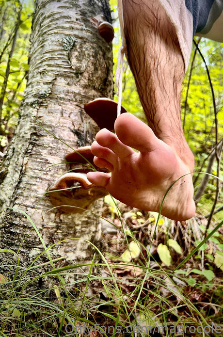 膨らみ OnlyFans ホット裸 アーカイブ