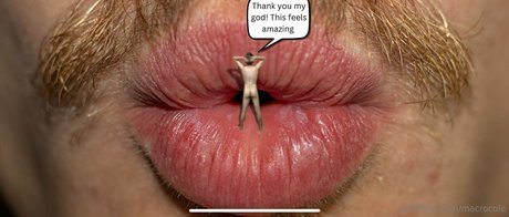 macrocole トップスター アーカイブ