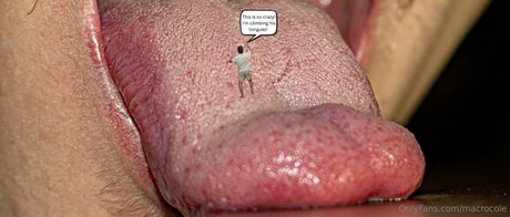 macrocole 完璧なモデル 画像