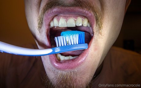 macrocole HDモデル 写真