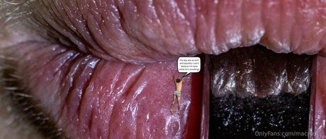 macrocole 裸のポルノスター 画像