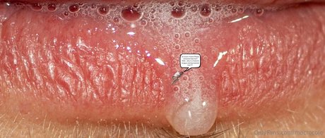 macrocole ポルノスター ベスト ギャラリー