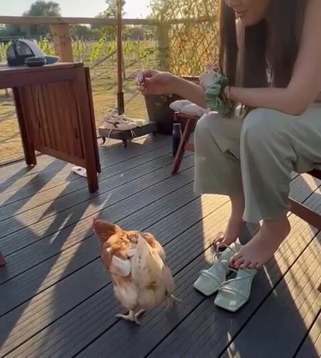 チンコを持つ女たち OnlyFans 無料ヌード アーカイブ