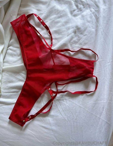 kambuchafree 美しいスター 写真