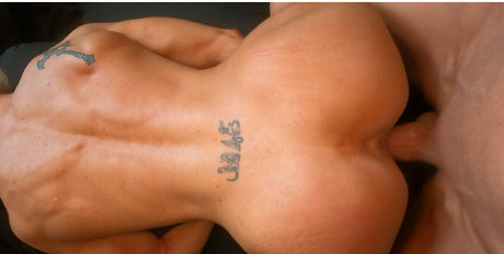 fit elf tal ヌードモデル 画像