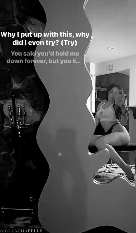 エボニートップオンリーファン ベスト アーカイブ