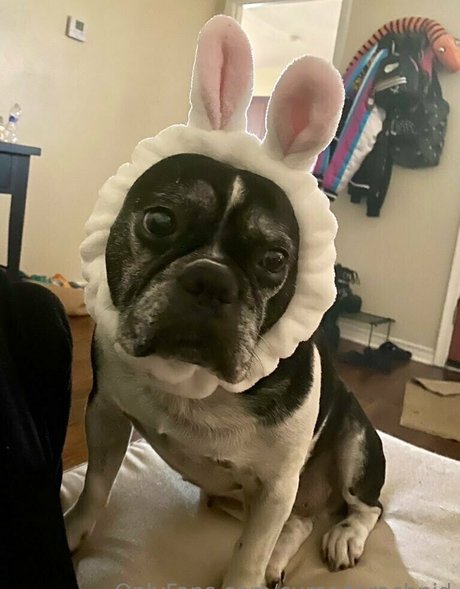 アマチュアペッギングOnlyFans ヌード 画像