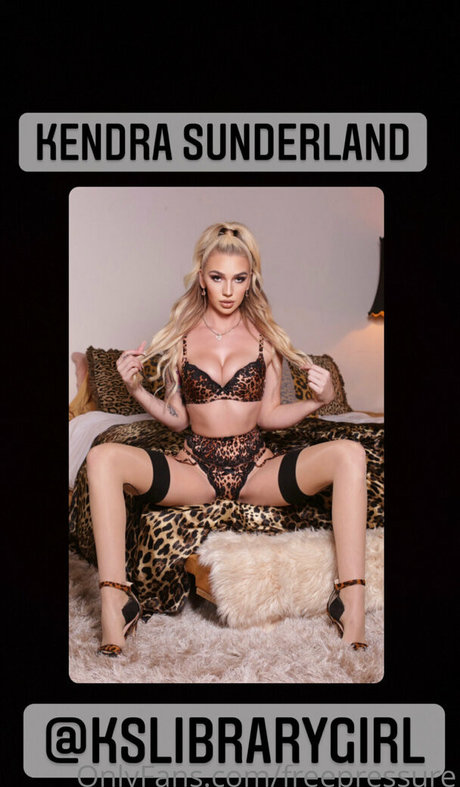 Freepressure アートモデル 画像