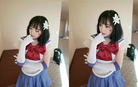 LilyPichu 限定スター ギャラリー