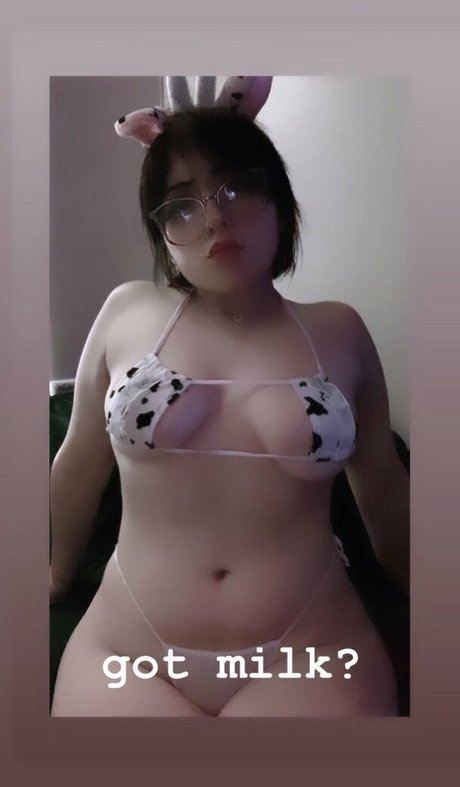 Logan 3x3 完璧なモデル 写真