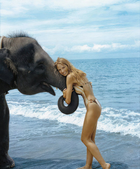 Heidi Klum ポルノスター 美しい ギャラリー