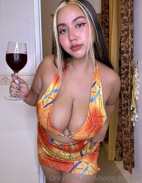 Song Panida HDモデル アーカイブ