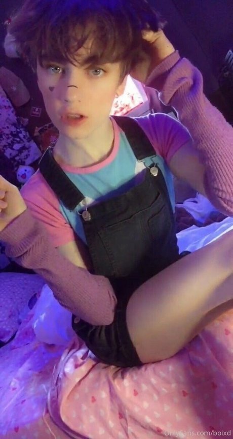 boixd アートポルノスター ギャラリー