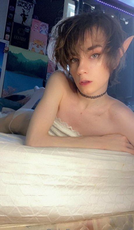 boixd 最高のモデル 画像