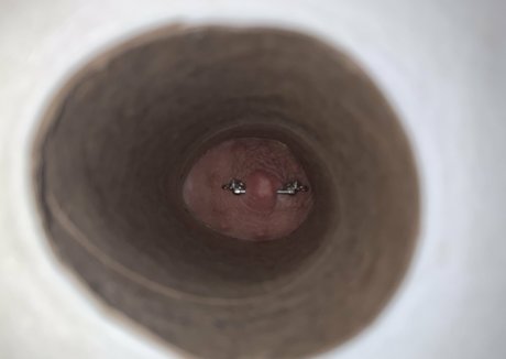 daisea ポルノスター 高品質 ギャラリー