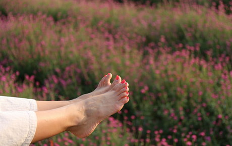 xxx アジアンオンリーファン トップ 写真