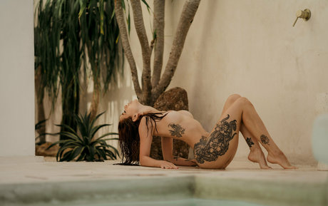 Blizzard 素敵なポルノスター 写真