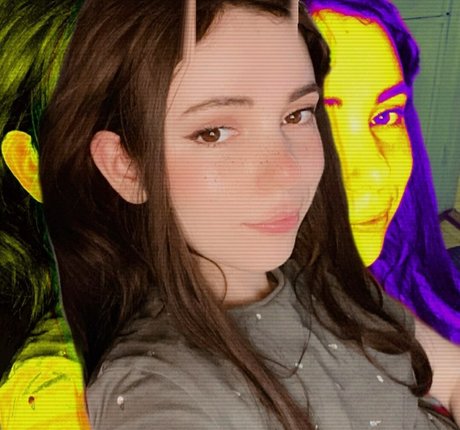 Kittew トップスター 写真