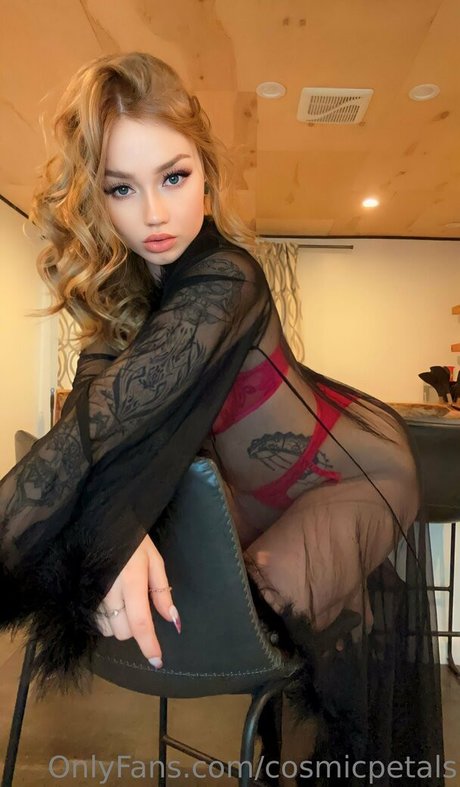 cosmicpetals アートモデル 画像