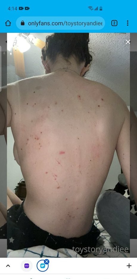 Justinthetortle ヌードスター 写真