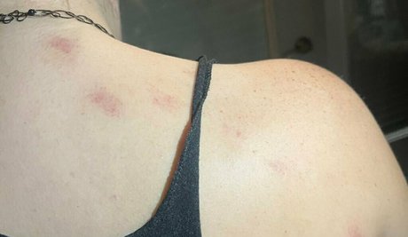 alicexfree ホット女優 アーカイブ