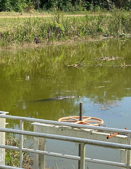 cocovandi 素敵な女優 写真