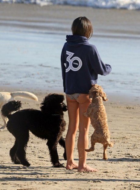 Jordana Brewster ヌードスター 画像