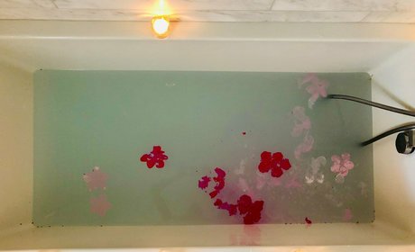 stellamuse ヌードモデル 写真