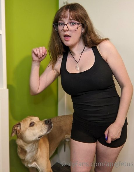 probablypiggy HDモデル 画像