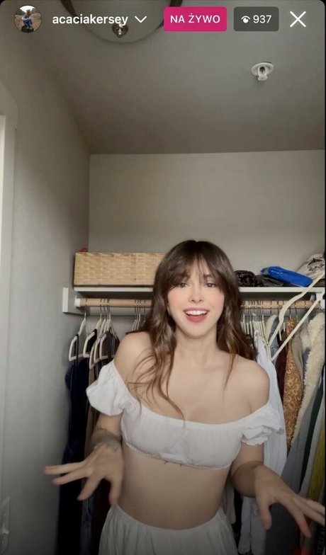 Acacia Kersey 限定モデル 画像