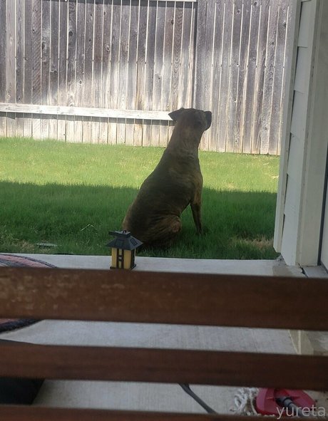 熟女 BBC OnlyFans HD 画像